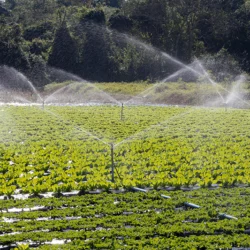 tarım ve agro peyzaj uygulamaları